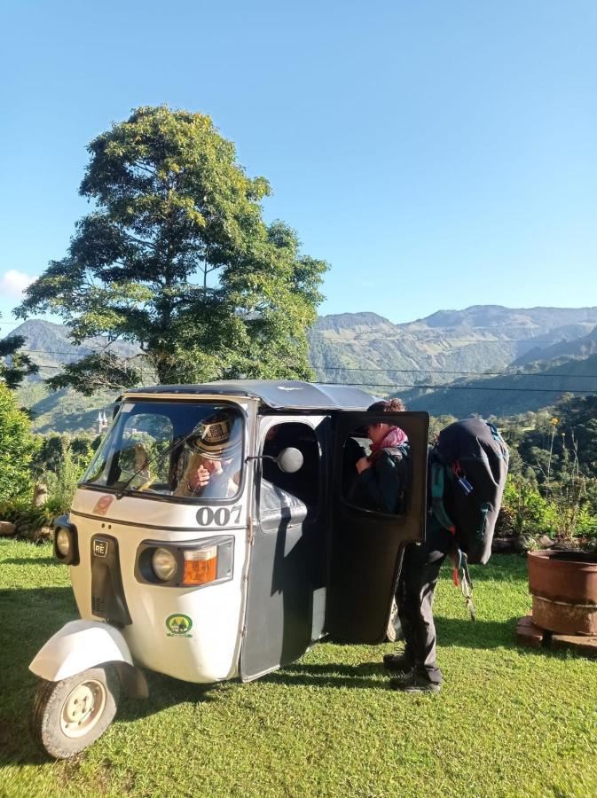 Alojamiento Rural Jardin Consentido 외부 사진