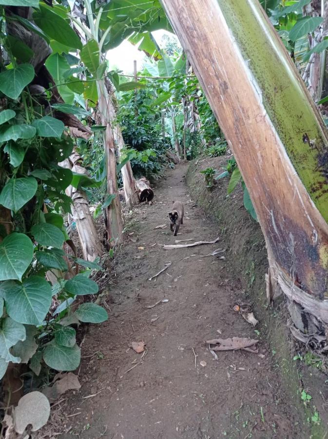 Alojamiento Rural Jardin Consentido 외부 사진