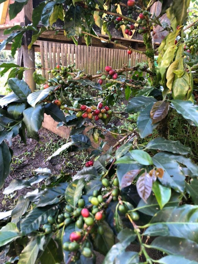 Alojamiento Rural Jardin Consentido 외부 사진