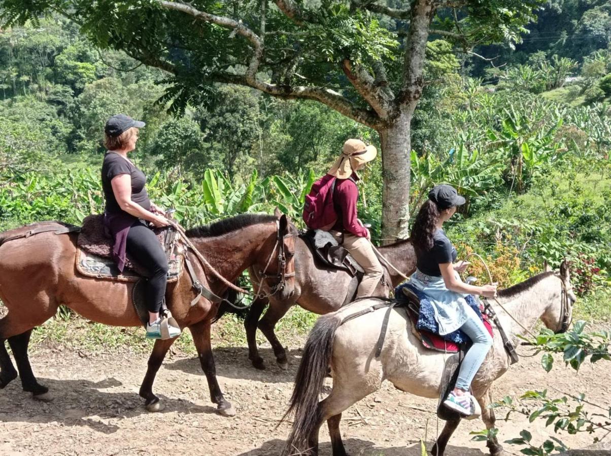 Alojamiento Rural Jardin Consentido 외부 사진