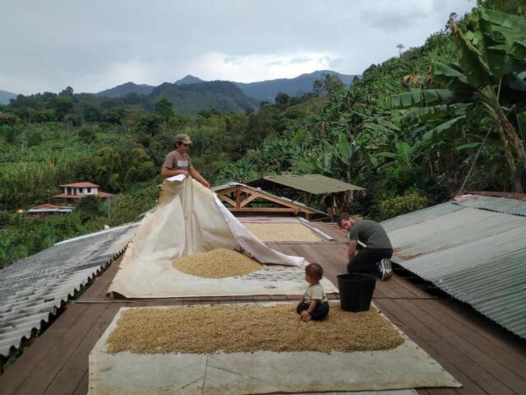 Alojamiento Rural Jardin Consentido 외부 사진