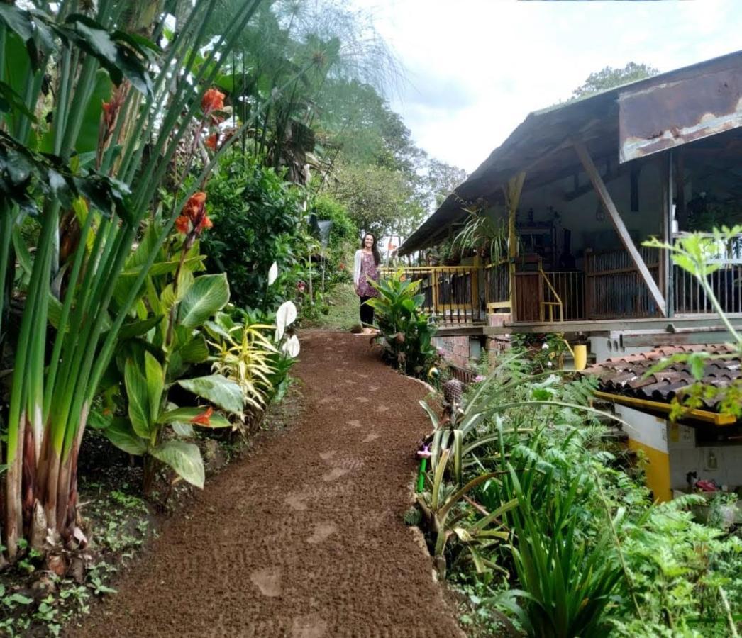 Alojamiento Rural Jardin Consentido 외부 사진