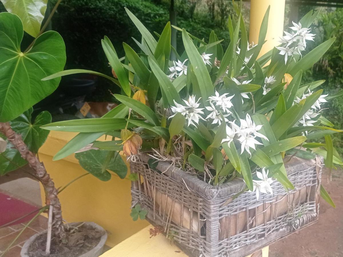 Alojamiento Rural Jardin Consentido 외부 사진