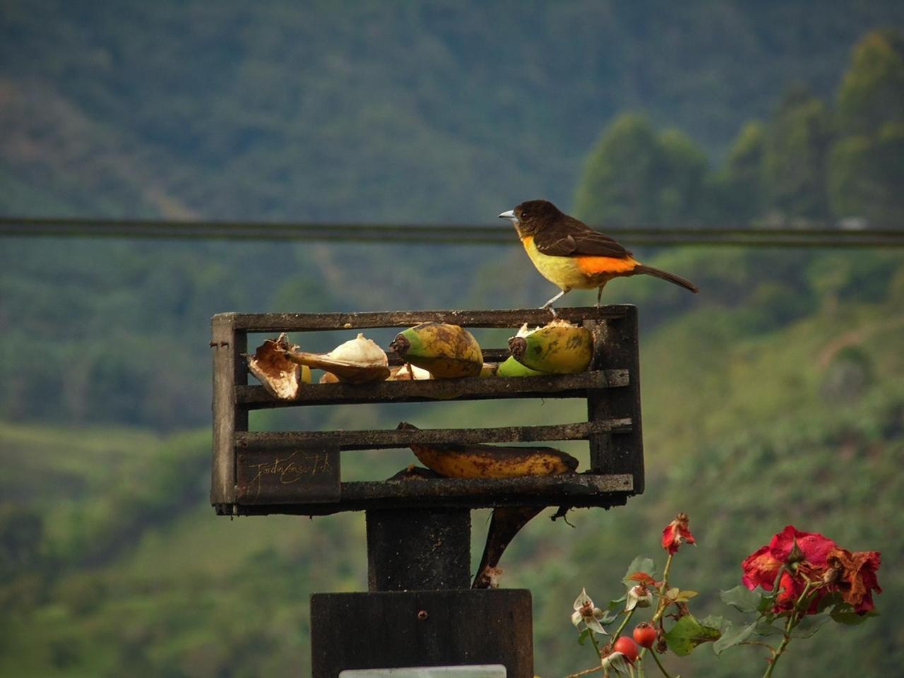 Alojamiento Rural Jardin Consentido 외부 사진