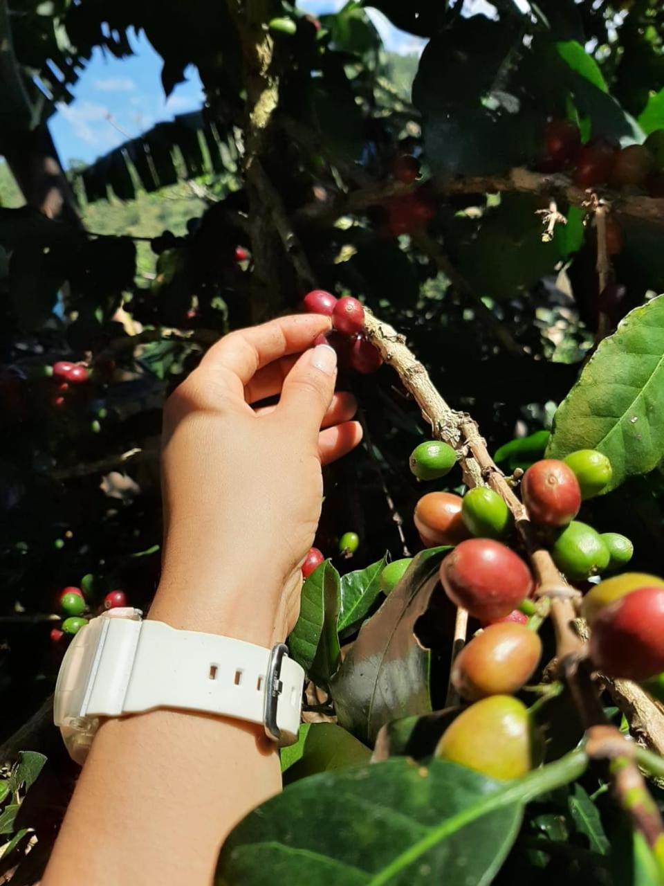 Alojamiento Rural Jardin Consentido 외부 사진