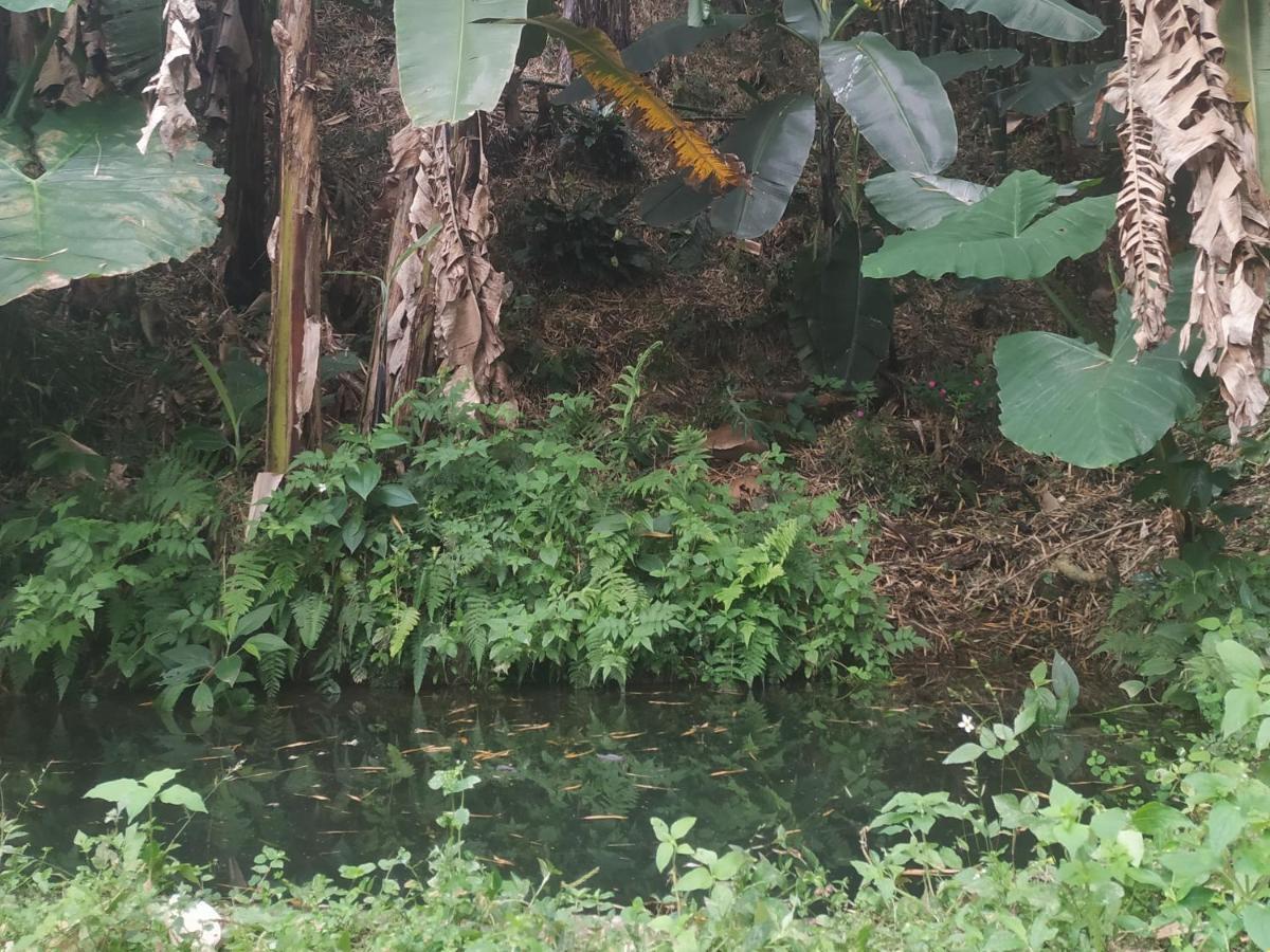 Alojamiento Rural Jardin Consentido 외부 사진