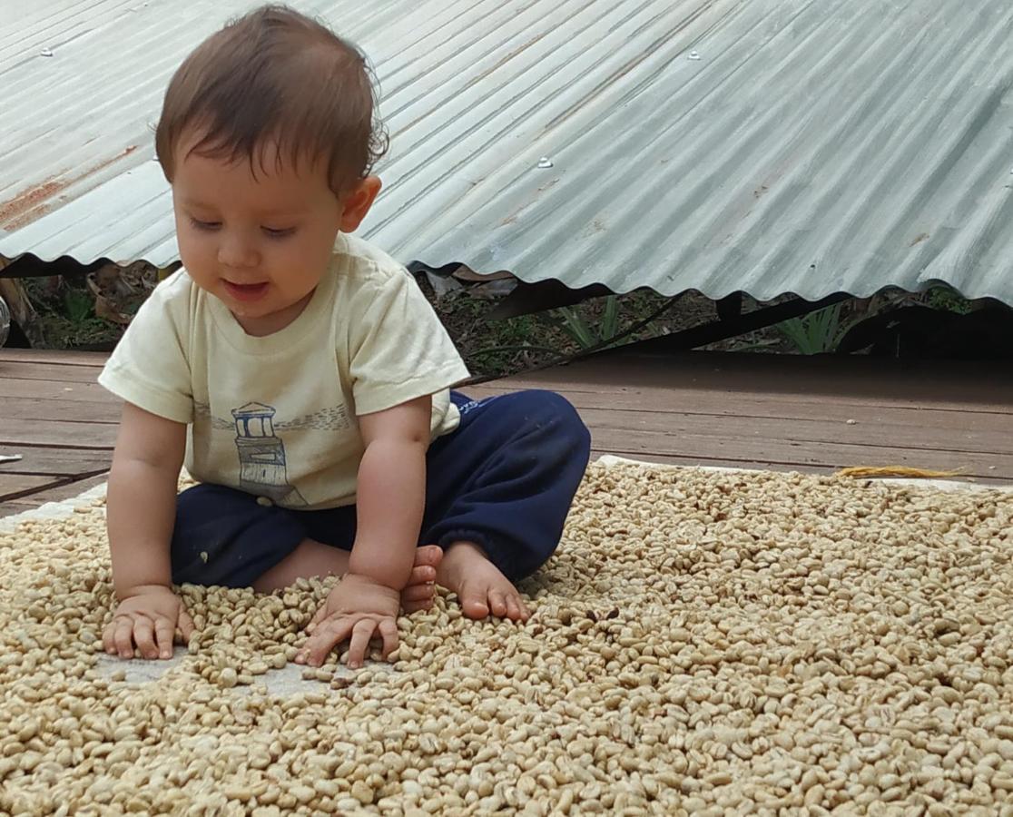 Alojamiento Rural Jardin Consentido 외부 사진